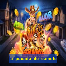 a puxada do camelo no jogo do bicho